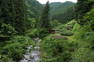 家山川