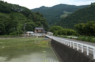 田園