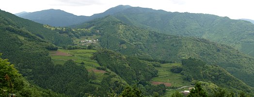 高根山への道