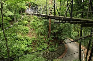 西向の吊橋