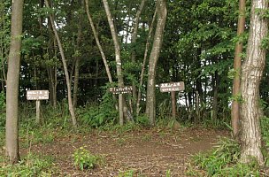 高根山山頂