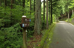 県道を往く