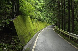 林間の道