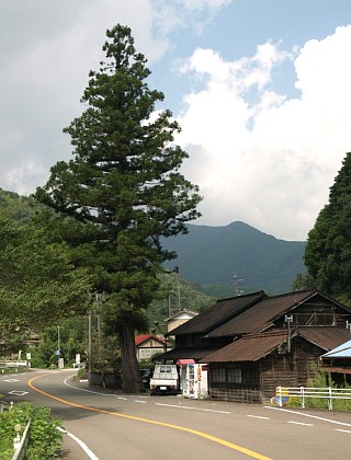 島尻タバコ店