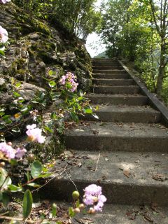階段の道