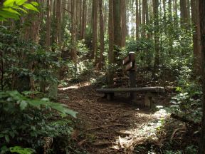 林の中の休憩ベンチ