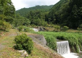 坂本川遊歩道