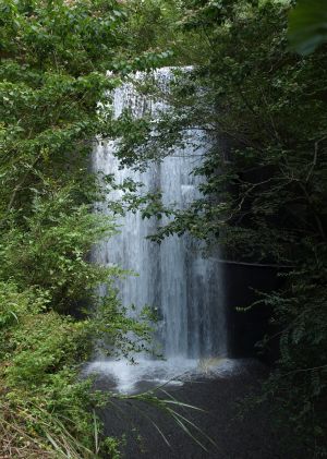 堰の落水