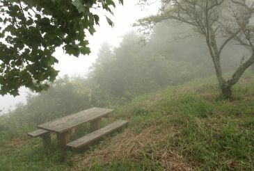 大山展望地