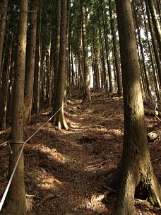 登り