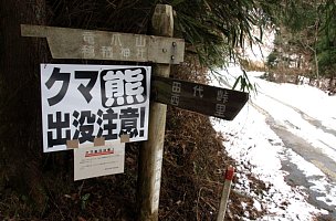 雪の林道