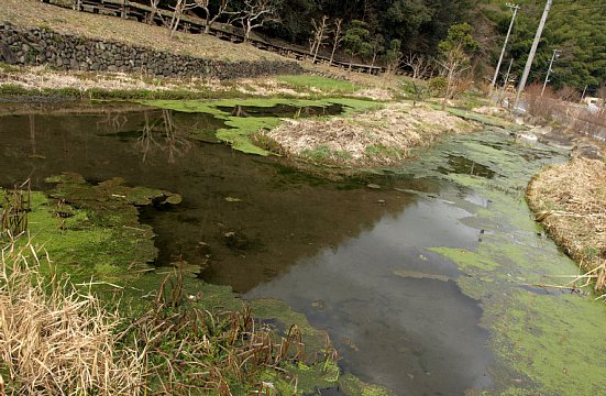 黒川自然園