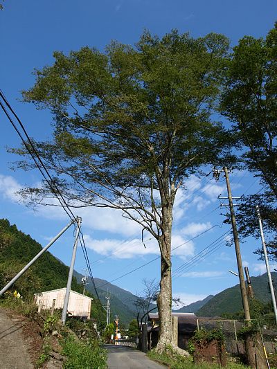 大平集落入り口