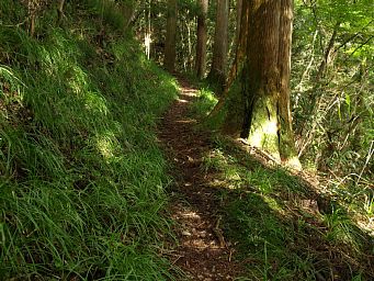 草付きの登山道