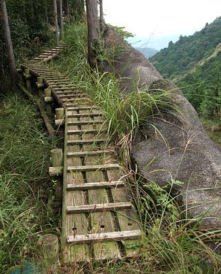 コンクリート壁の木道