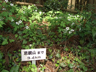 距離標示