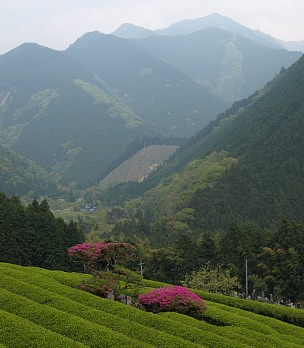 長者ヶ岳