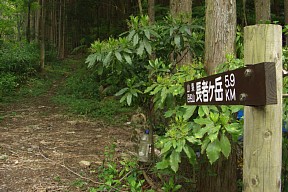 長者ヶ岳登山口