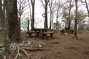 長者ヶ岳山頂