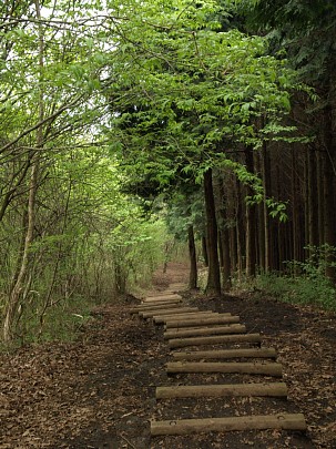 下山道