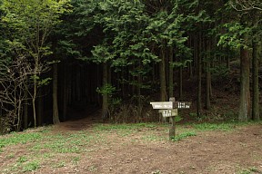 田貫湖キャンプ場分岐