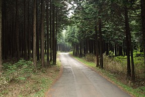 小田貫湿原へ向かう