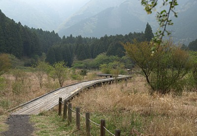 小田貫湿原