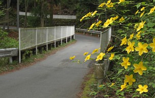 西川橋