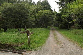 朝霧高原へ