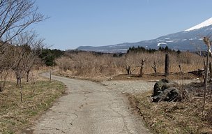 ひび割れた車道