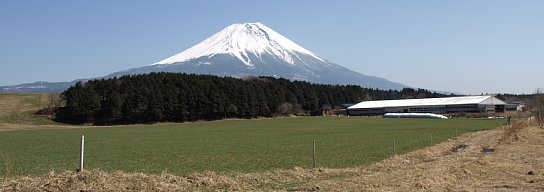 牧場と富士