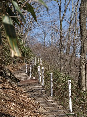 桟橋