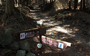 静岡県の指導標