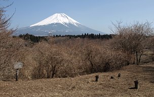 朝霧高原を見納め