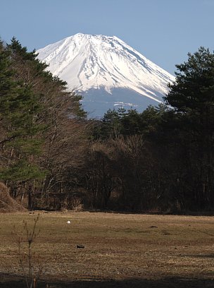 本栖湖より富士