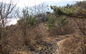 湖岸遊歩道