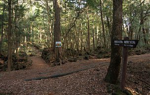 精進湖登山道