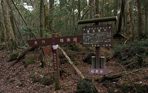 富岳風穴解説板