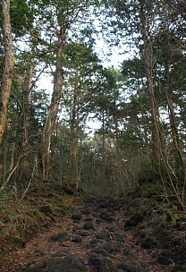 溶岩石の道