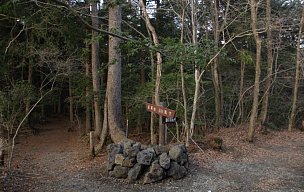 緑の休暇村分岐