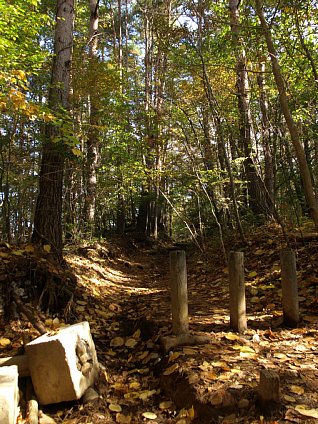 最初の山道