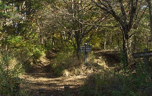 足和田山稜線