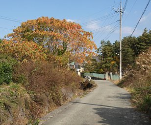 用水路脇の道