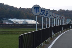 山中湖花の都公園