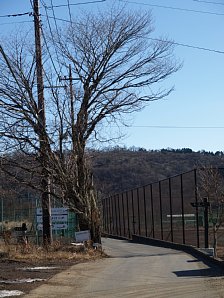丈高い指導標