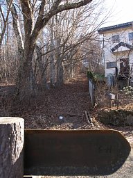 別荘地の道