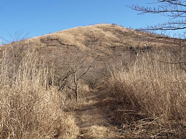 高指山