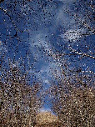 雲散り飛ぶ