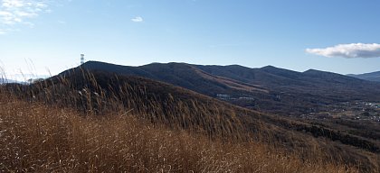 足柄平野
