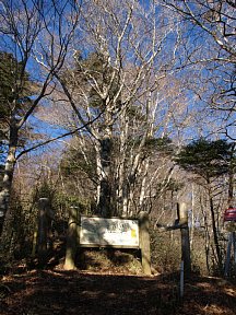 山伏峠分岐
